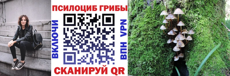 Псилоцибиновые грибы мухоморы  Теберда 